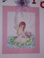 /album/galleria-fotografica/dsci0135-jpg/